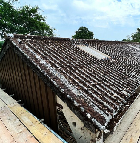 Asbestos removal team